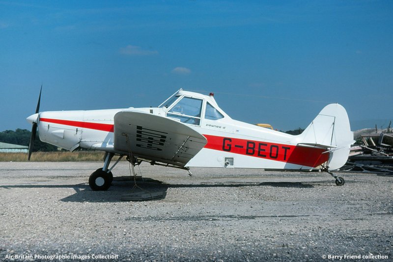 Stinson Piper Cub artpaints