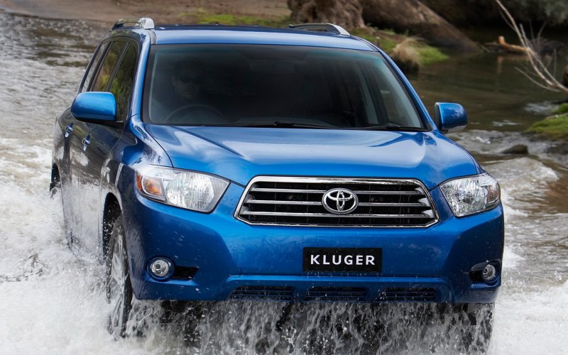 Kluger 2013