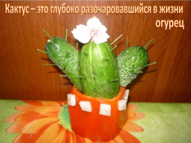 Домик из кабачка
