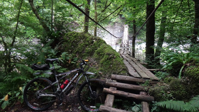 MTB Трейл Петергоф