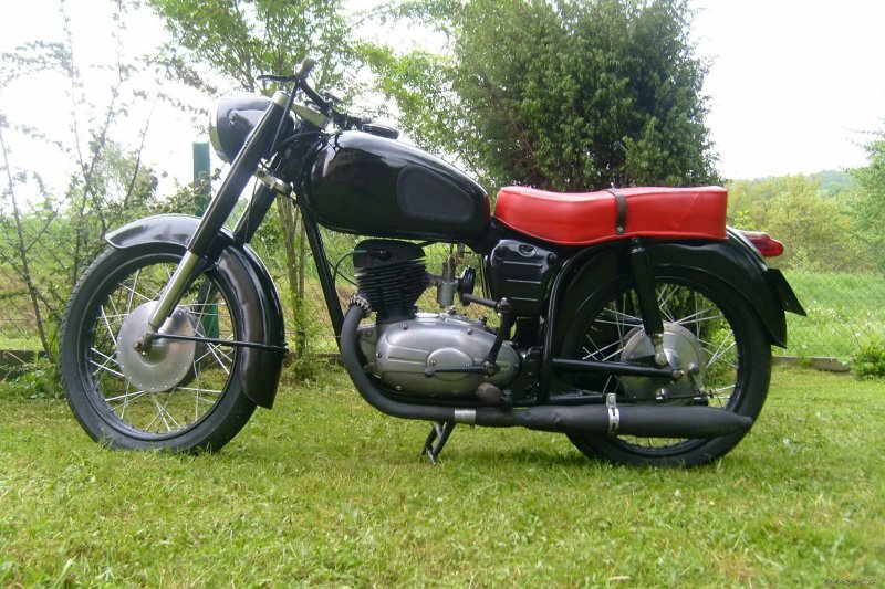 Pannonia t5