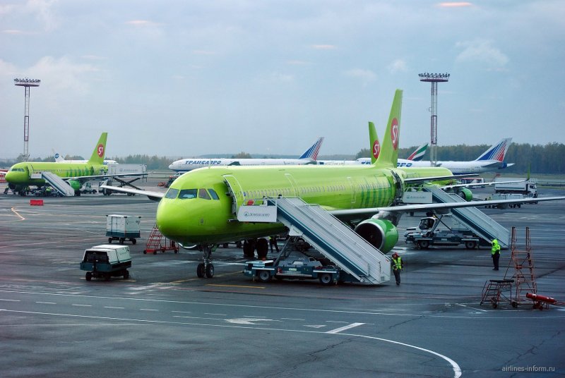 Аэропорт Домодедово s7 Airlines
