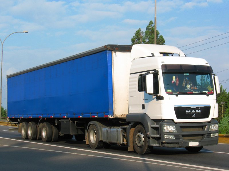 Man TGS 19.350 4x2
