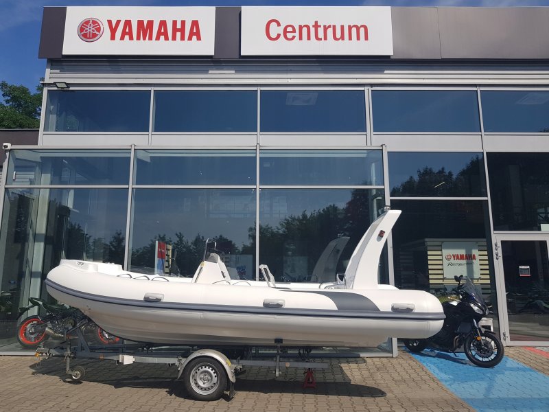 Лодочный мотор Yamaha f 100 FETL