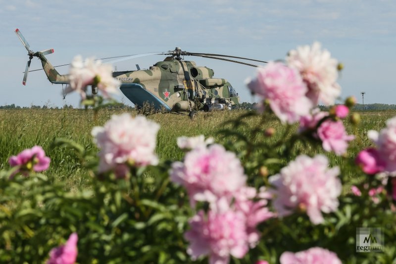 17 Бригада армейской авиации