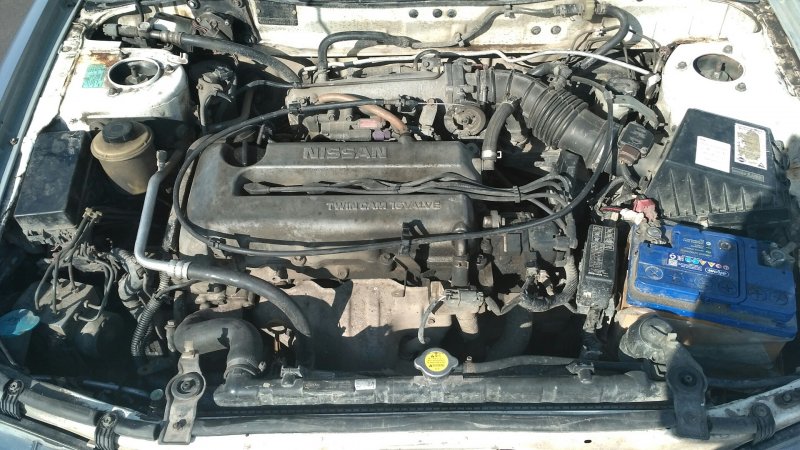 Primera p11 подкапотка