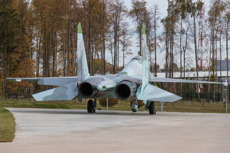 Су 24 постановщик помех