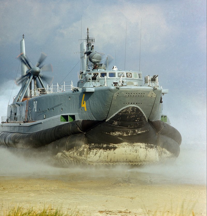 МДКВП ЗУБР