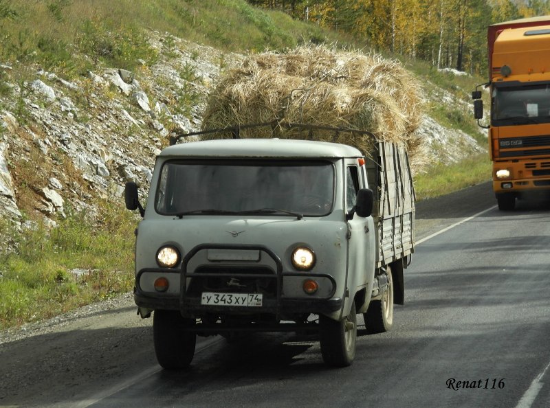 УАЗ-39095 AVD