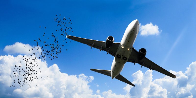 Самолеты Air Traffic