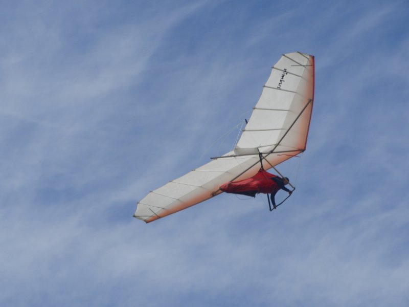 Delta Wing Glider