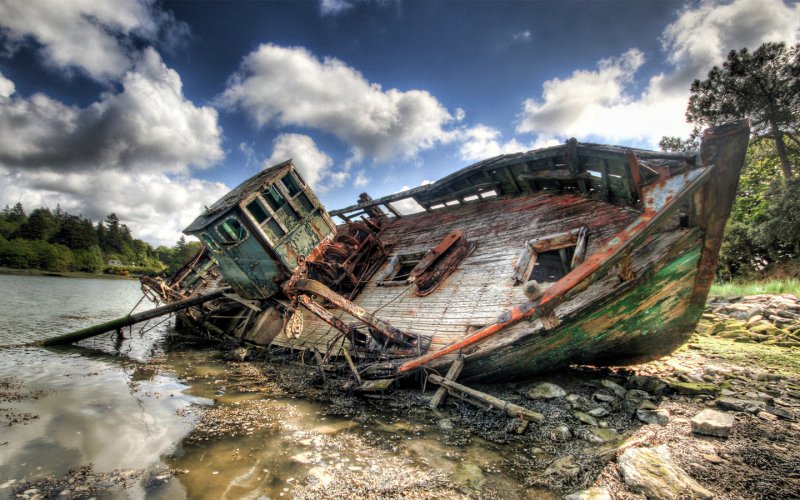 Плавающий лес (SS Ayrfield) , Австралия