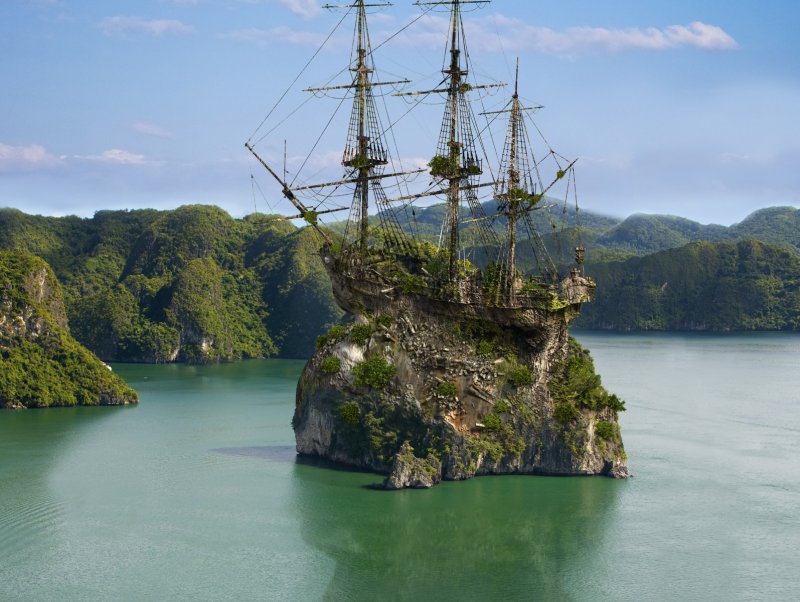 Плавающий лес (SS Ayrfield) , Австралия