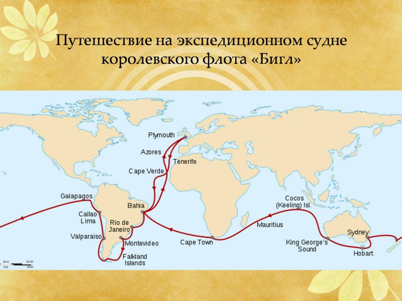 Порт города девонтроп 1831 год