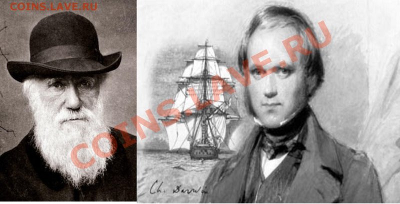 HMS Beagle
