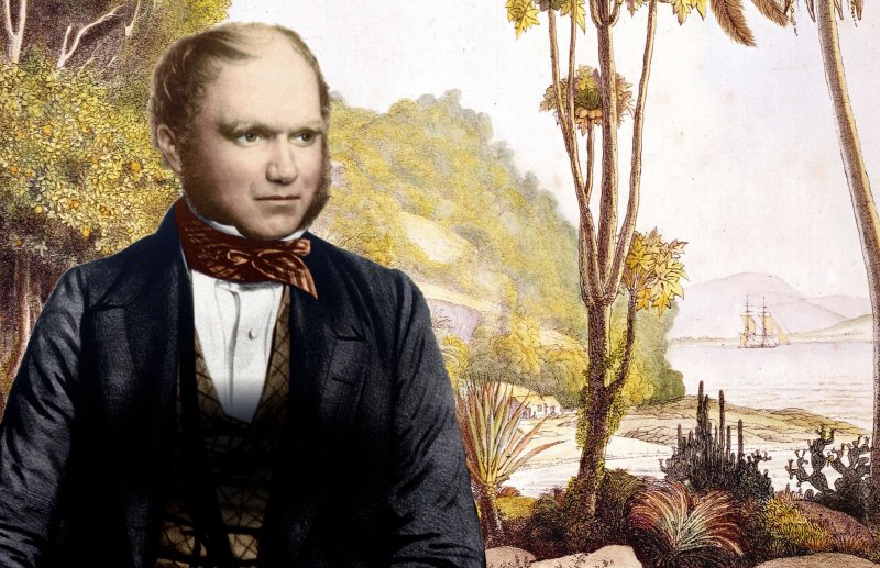 1872 1876 Челленджер