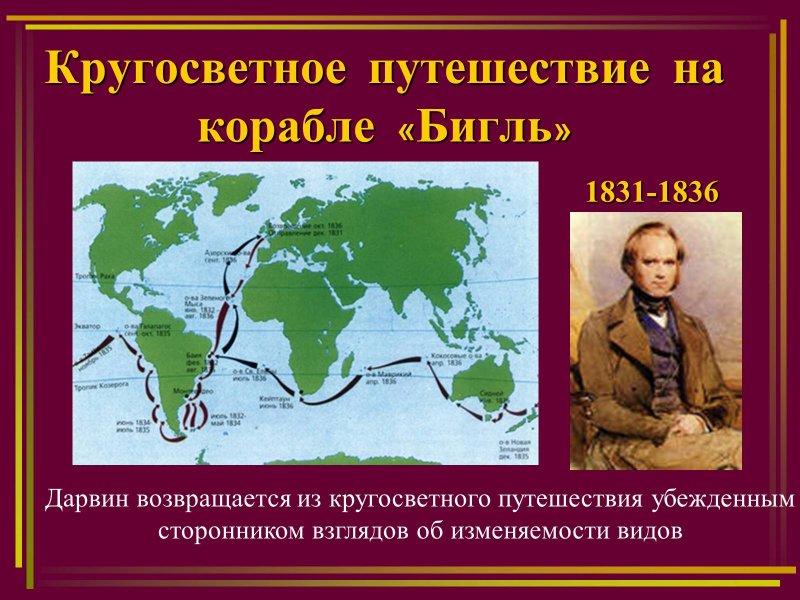 Кругосветное путешествие Чарльза Дарвина