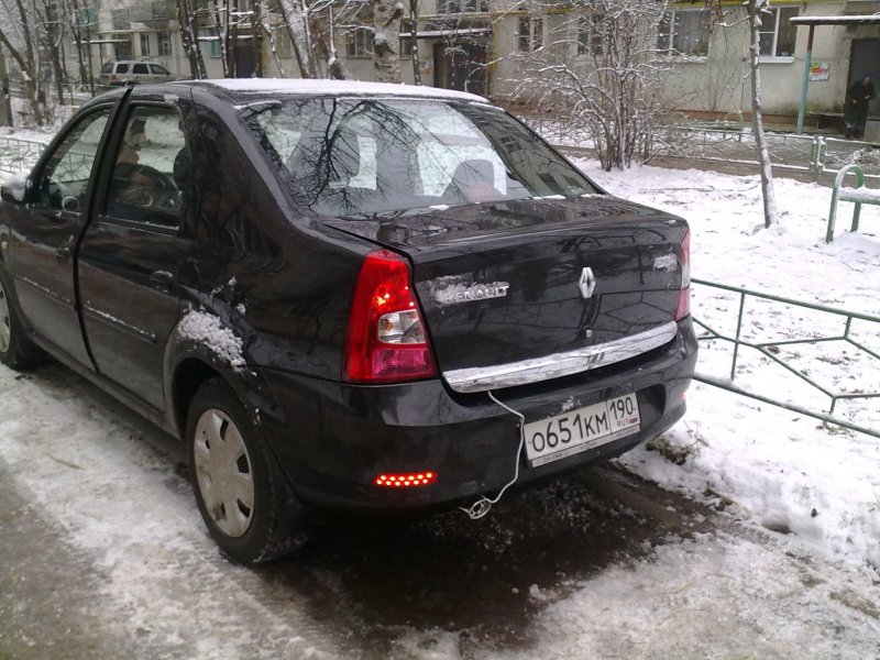 Реношки 2010 год
