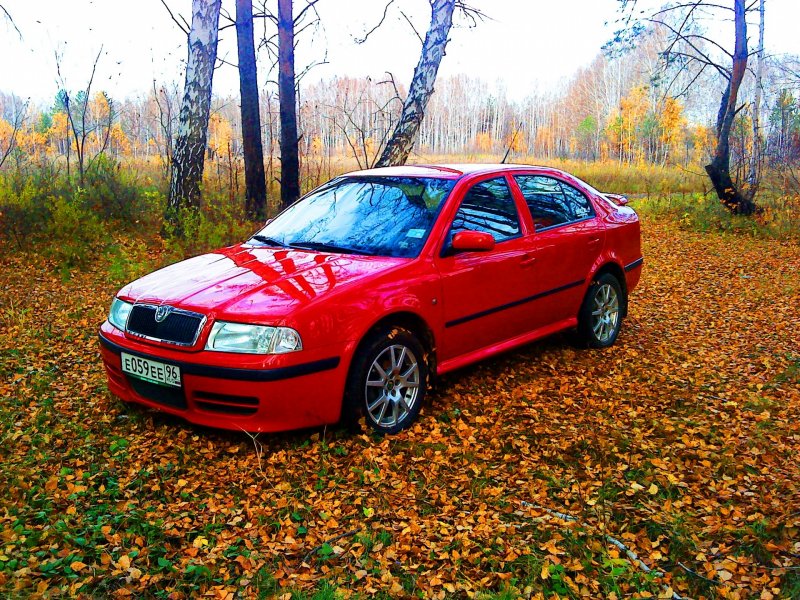 Skoda Octavia WTS