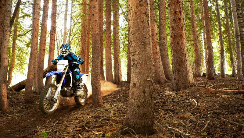 Ямаха wr450f по лесу