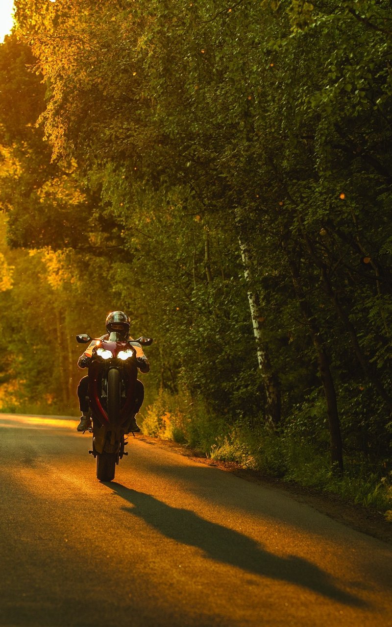 Мото в лесу