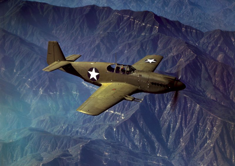 P40 Mustang