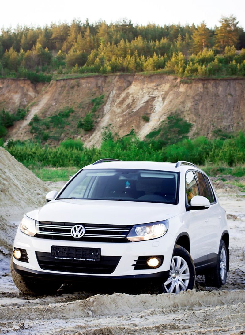 Volkswagen Tiguan 2014 белый