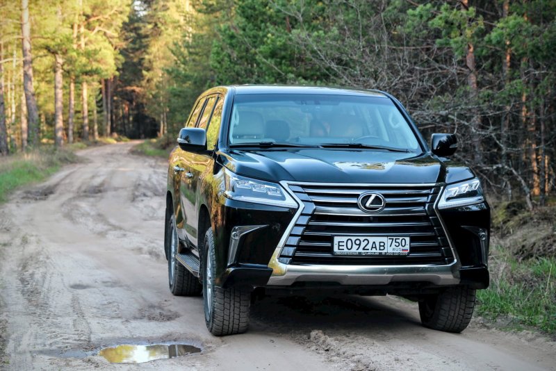 Lexus LX 450d Wald