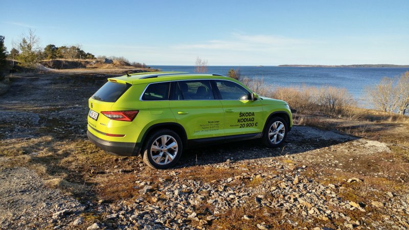 Skoda Kodiaq 2020 зеленый