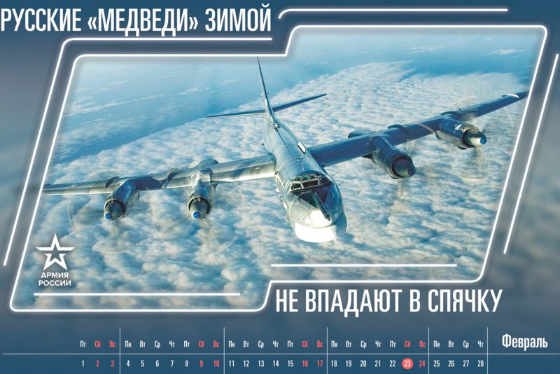 Самолет мой товарищ