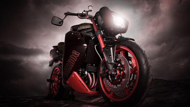 Triumph Speed Triple Bulldog