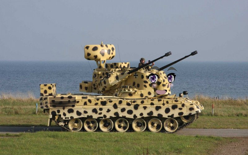 Гепард Германская ЗСУ