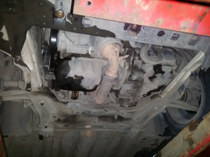Пежо 308 вид снизу