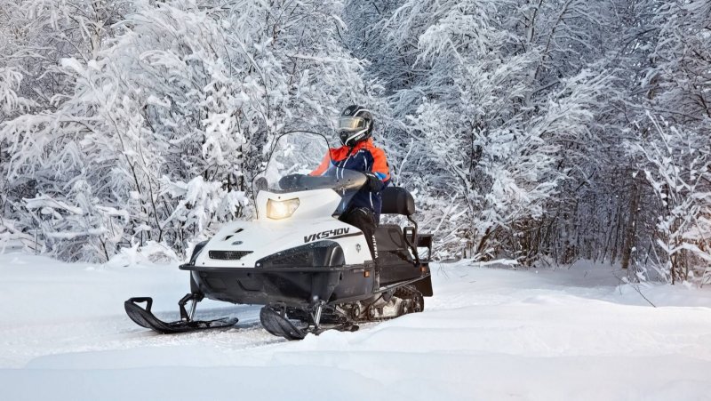 Yamaha Viking 540 v
