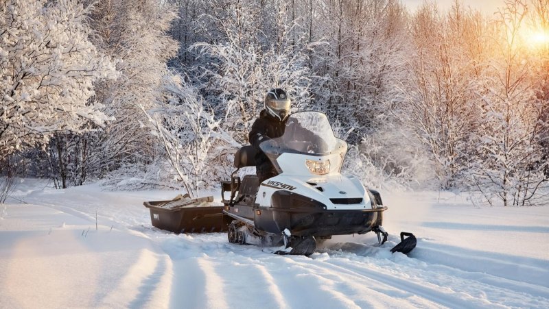 Снегоход Yamaha vk540v