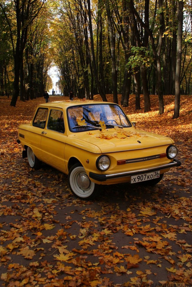 Запорожец 968