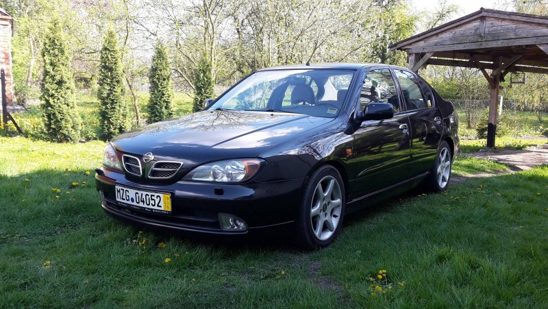 Nissan primera GX p11