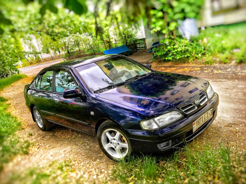 Nissan primera p11 седан