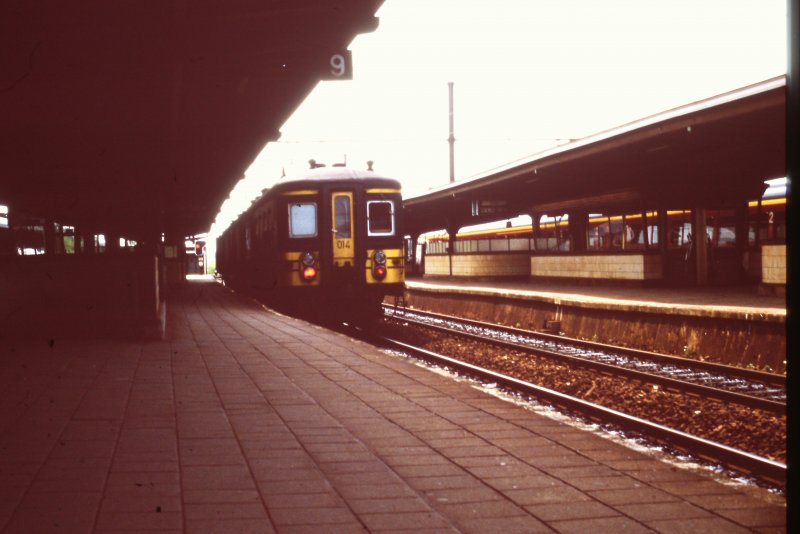 Train 50/50