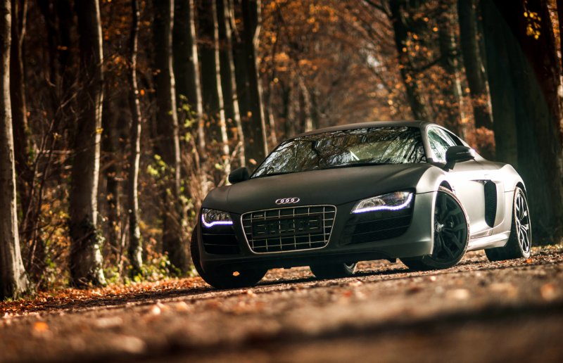 Audi r8 Gray