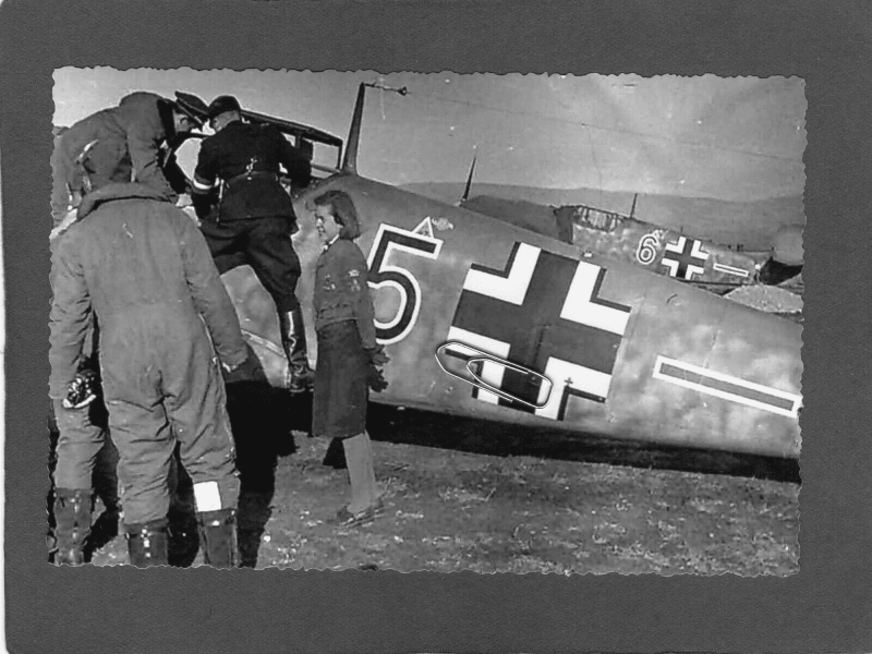 Bf 109 нашли в лесу