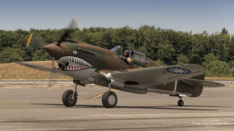 P-40n Warhawk