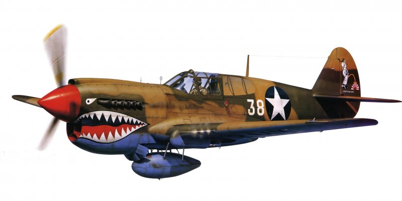 Curtiss p-40 над Ленинградом