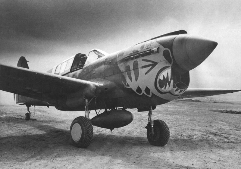 Самолет р-40 Киттихаук