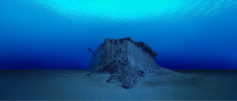 Фото британика под водой