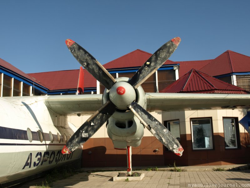 Кафе самолет АН 24 Воронежская область