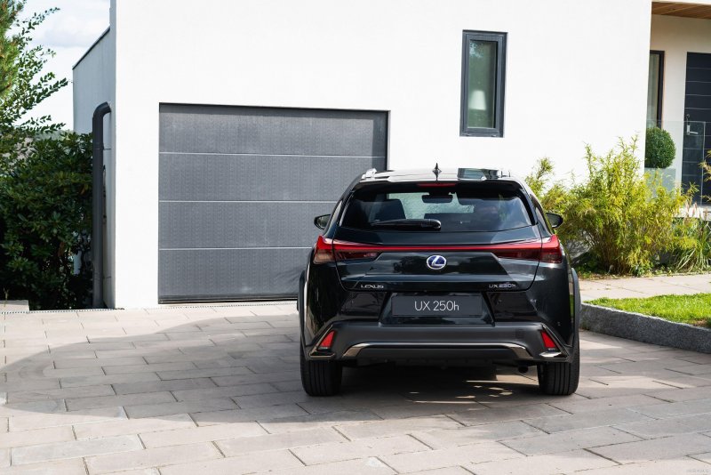 Lexus UX Rear