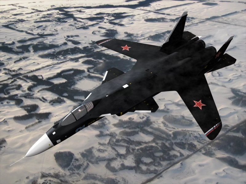 Самолет с обратной стреловидностью крыла Су-47
