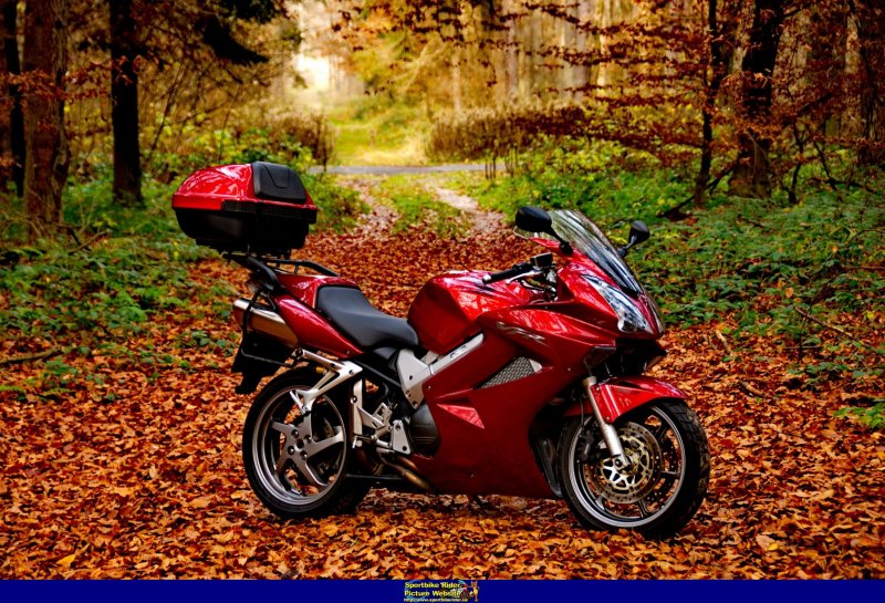 Honda VFR 800