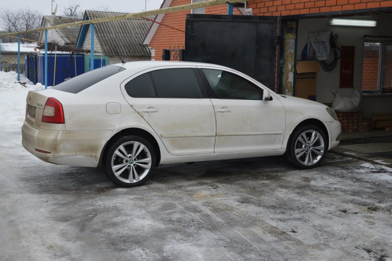 Октавия а5 slik